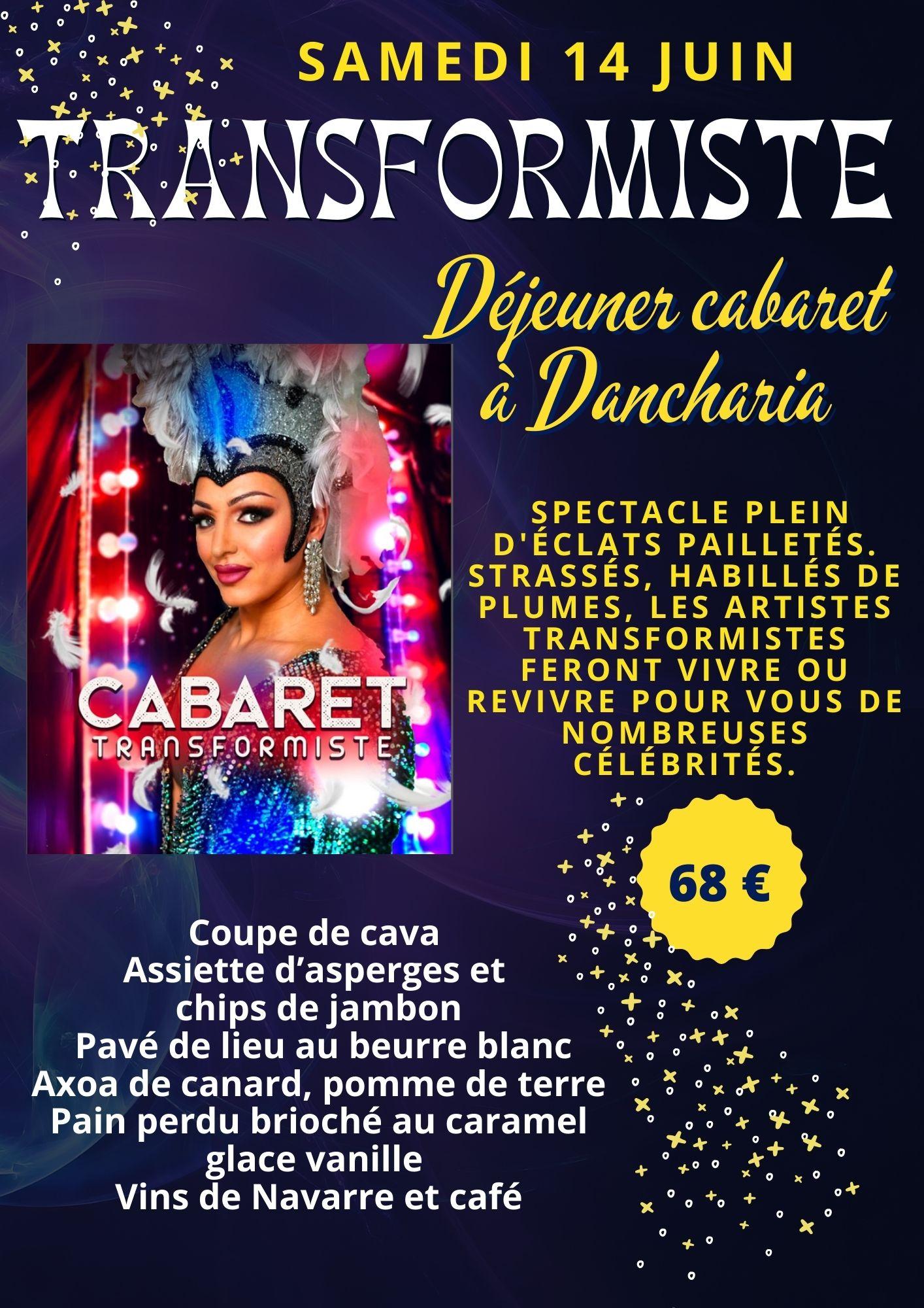 14 - TRANFORMISTE