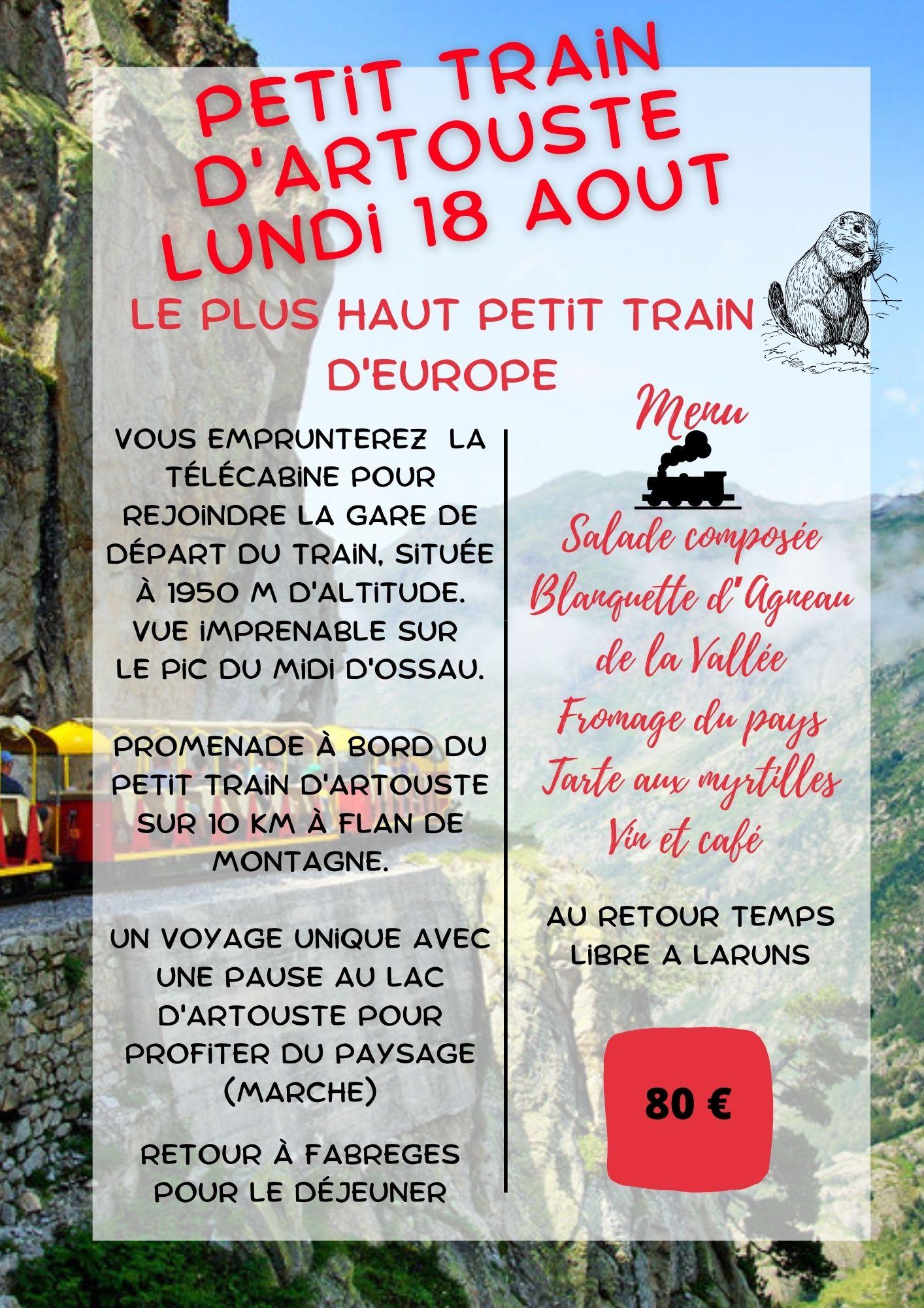 20 - PETIT TRAIN ARTOUSTE