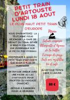 20 - PETIT TRAIN ARTOUSTE