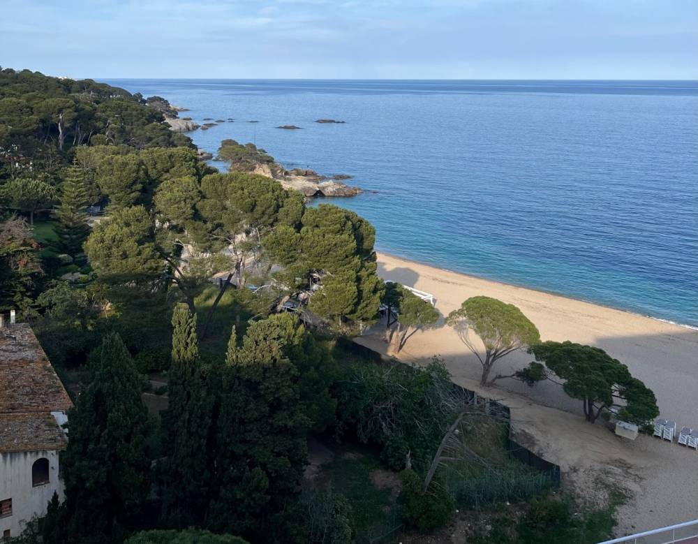 PLAYA DE ARO